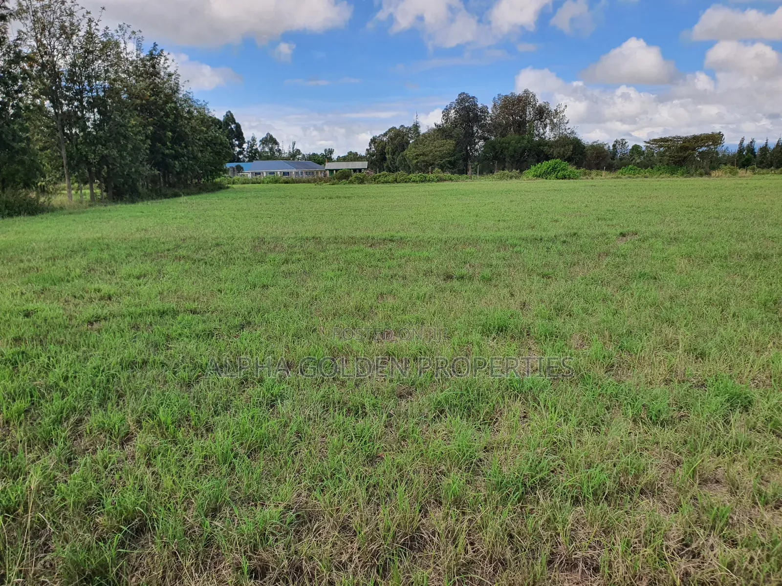 5 Acres on Sale Near Nanyuki Airstrip in Nanyuki