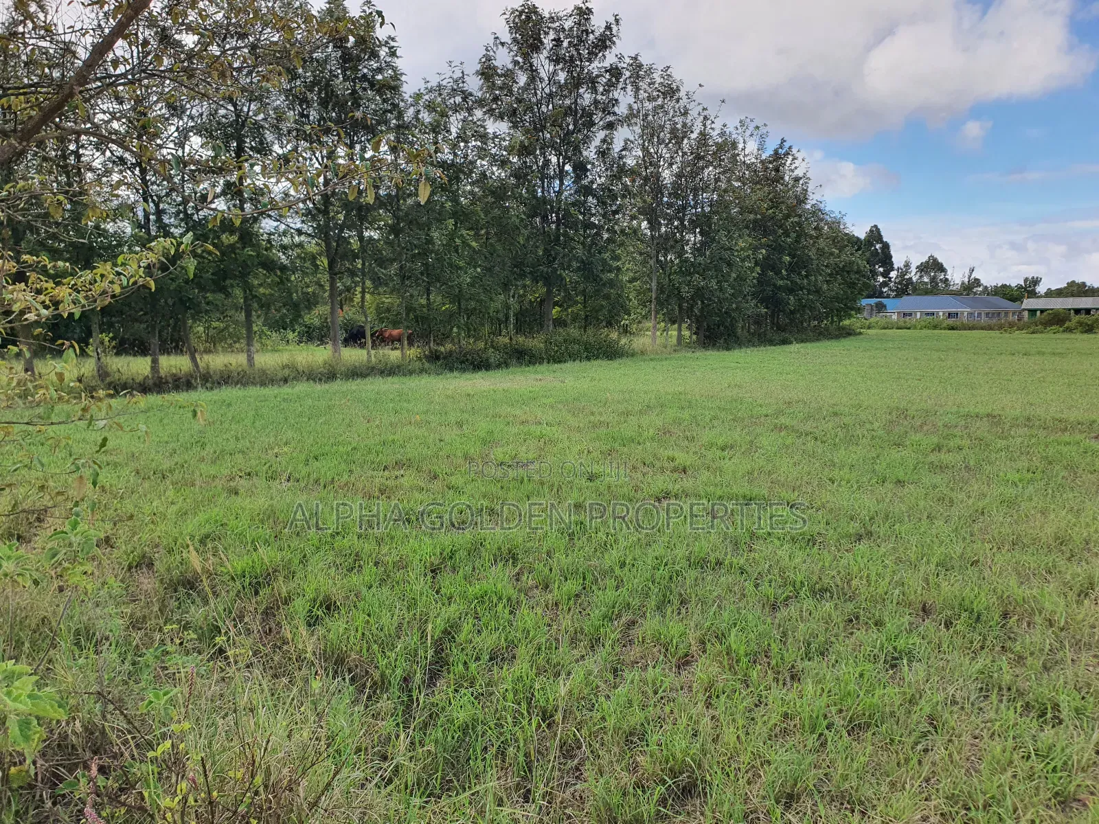 5 Acres on Sale Near Nanyuki Airstrip in Nanyuki