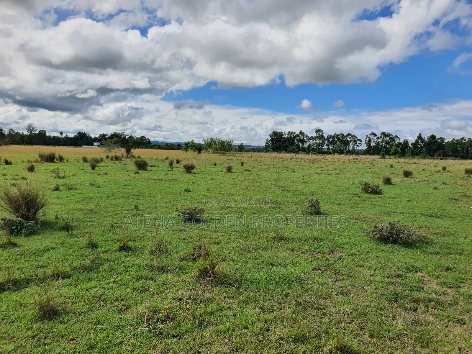 5 Acres in Nanyuki Airstrip in Nanyuki