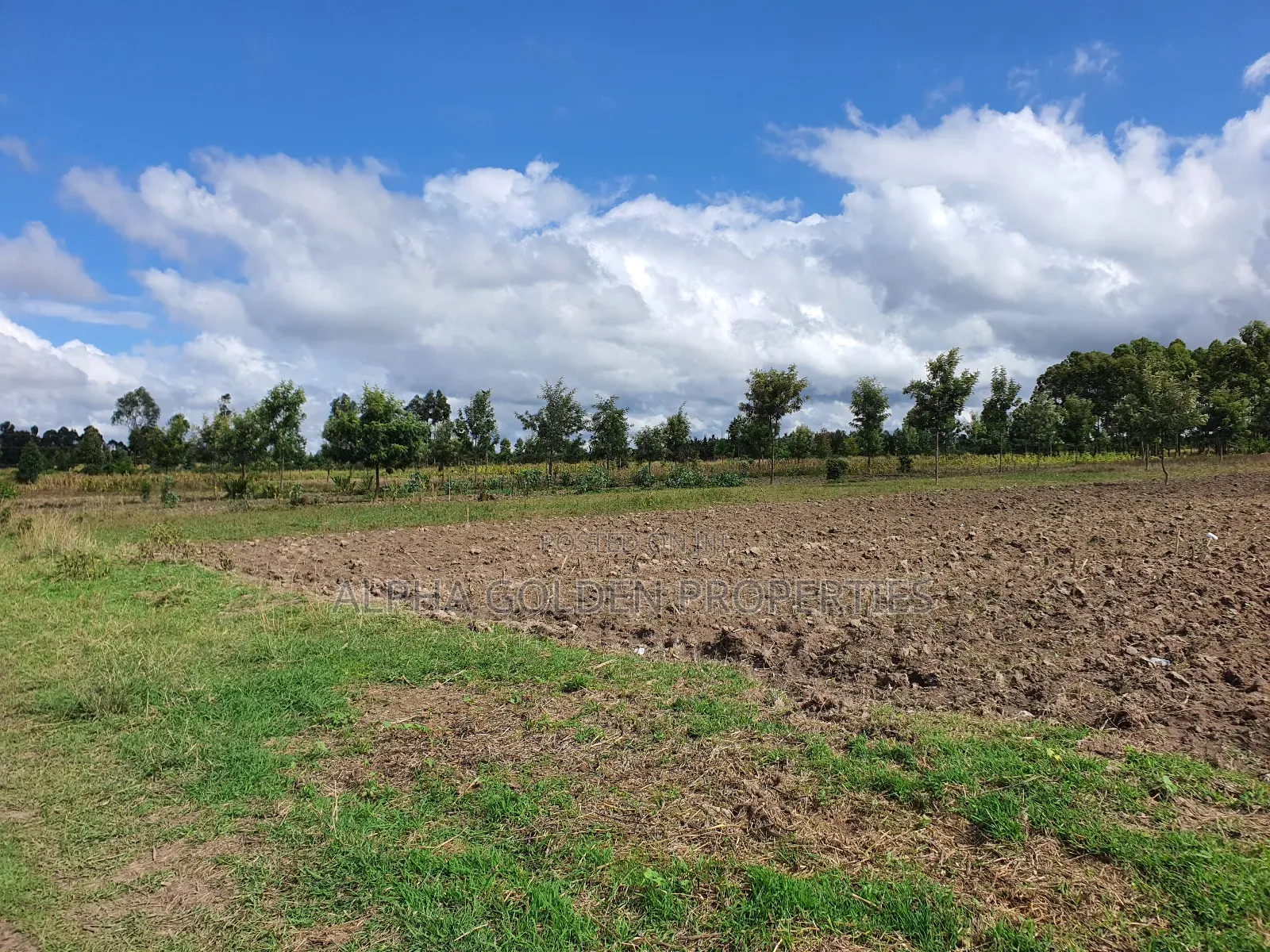 5 Acres in Nanyuki Airstrip in Nanyuki