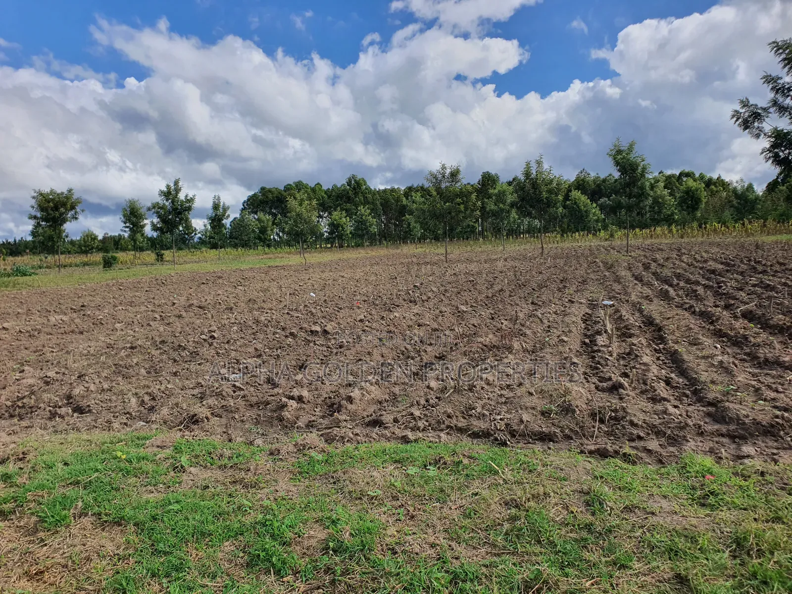 5 Acres in Nanyuki Airstrip in Nanyuki