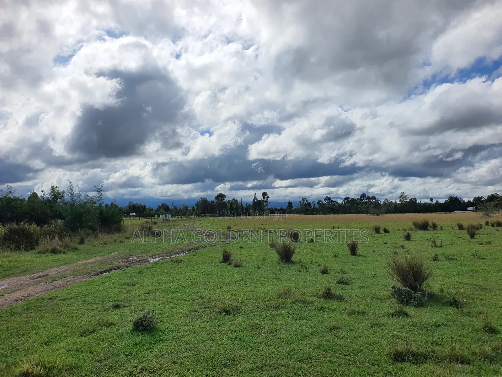 5 Acres in Nanyuki Airstrip in Nanyuki