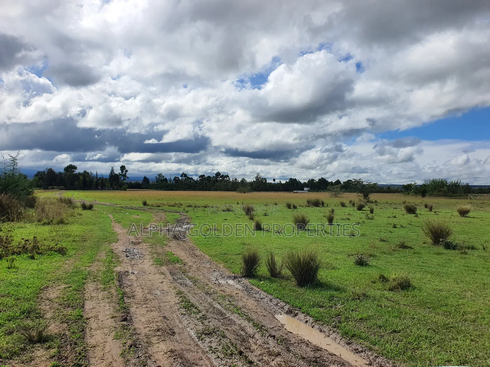 5 Acres in Nanyuki Airstrip in Nanyuki