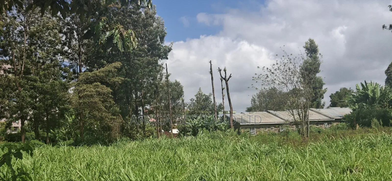 1 Acre and an Eight in Kabete White House in Wangige