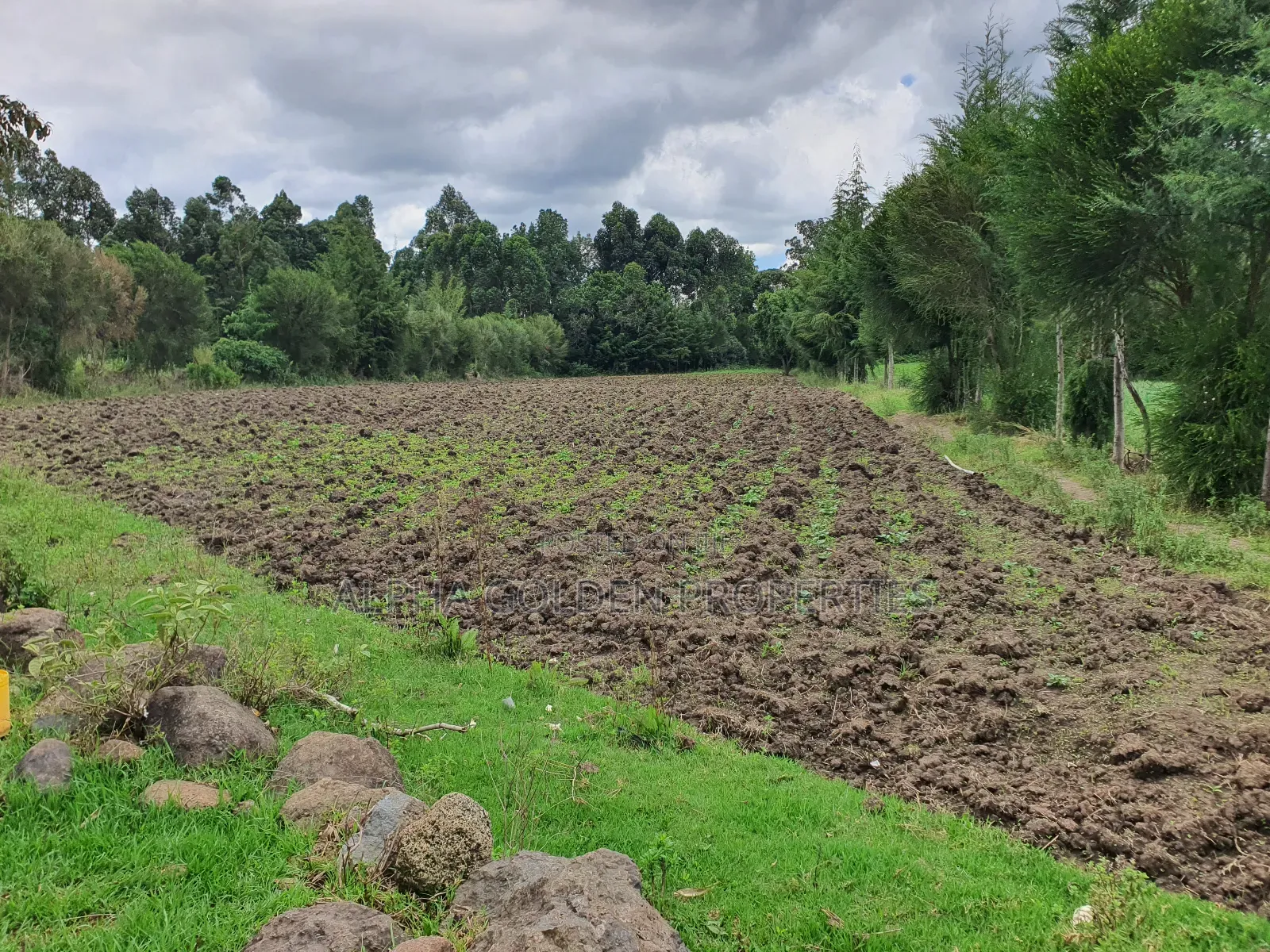 4.5 Acres in Nanyuki With River Frontage in Nanyuki