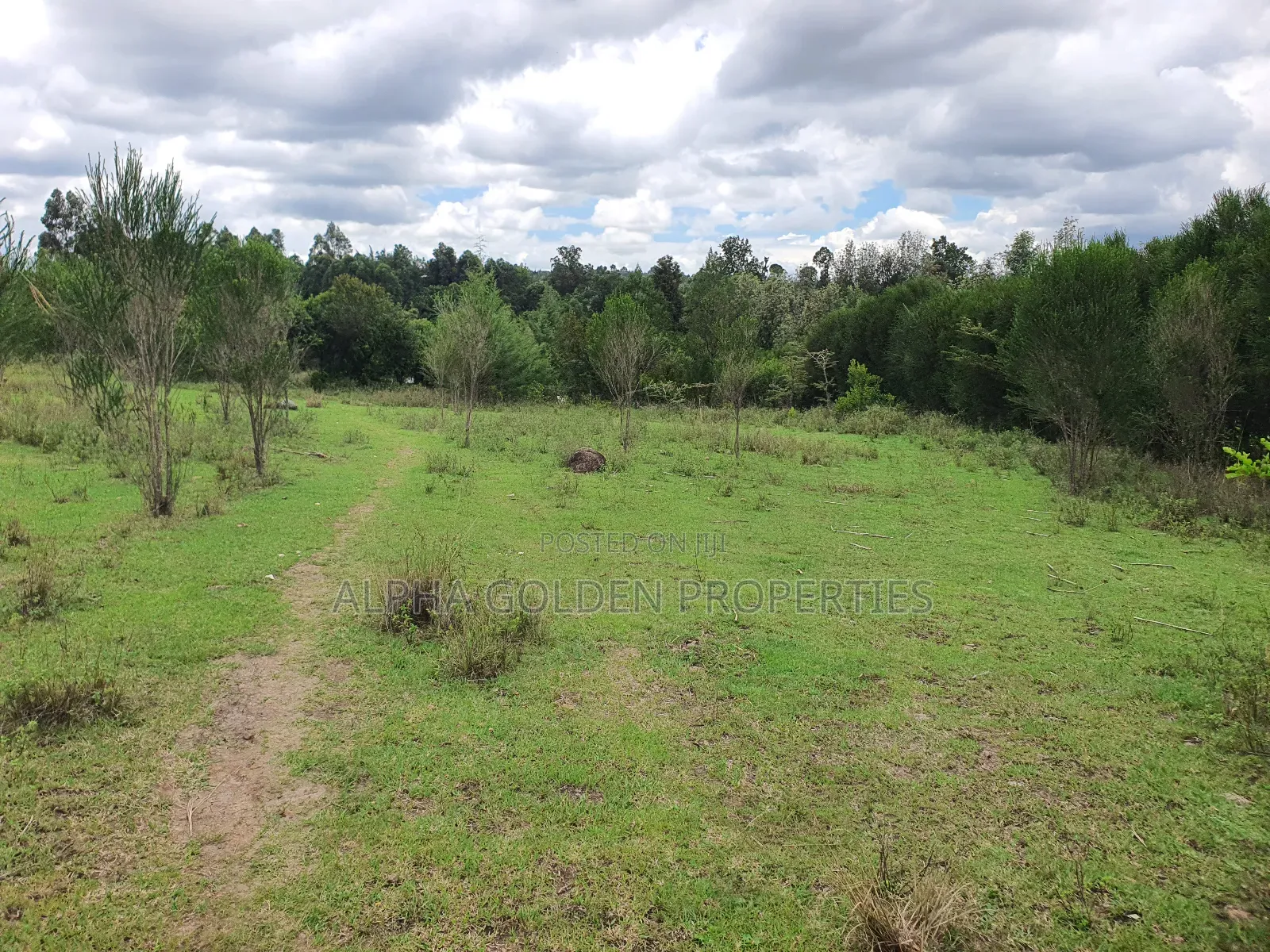 4.5 Acres in Nanyuki With River Frontage in Nanyuki