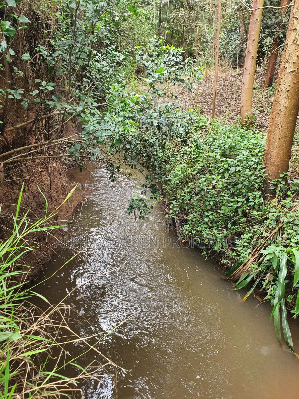 4.5 Acres in Nanyuki With River Frontage in Nanyuki