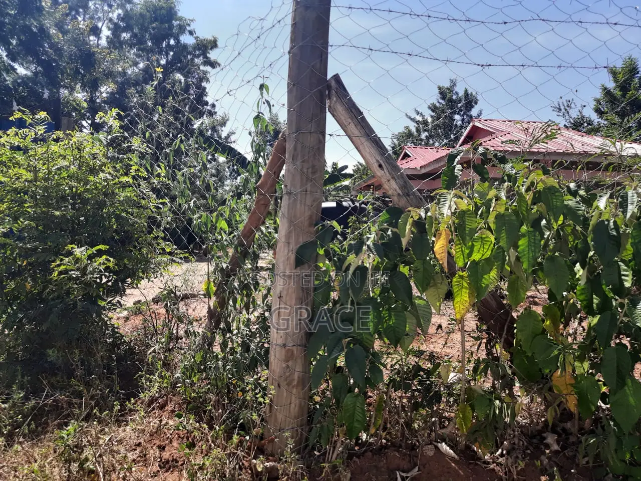 Prime 1/8th Acre Plots for Sale in Makutano Mwea - Ready Title Deeds in Mwea