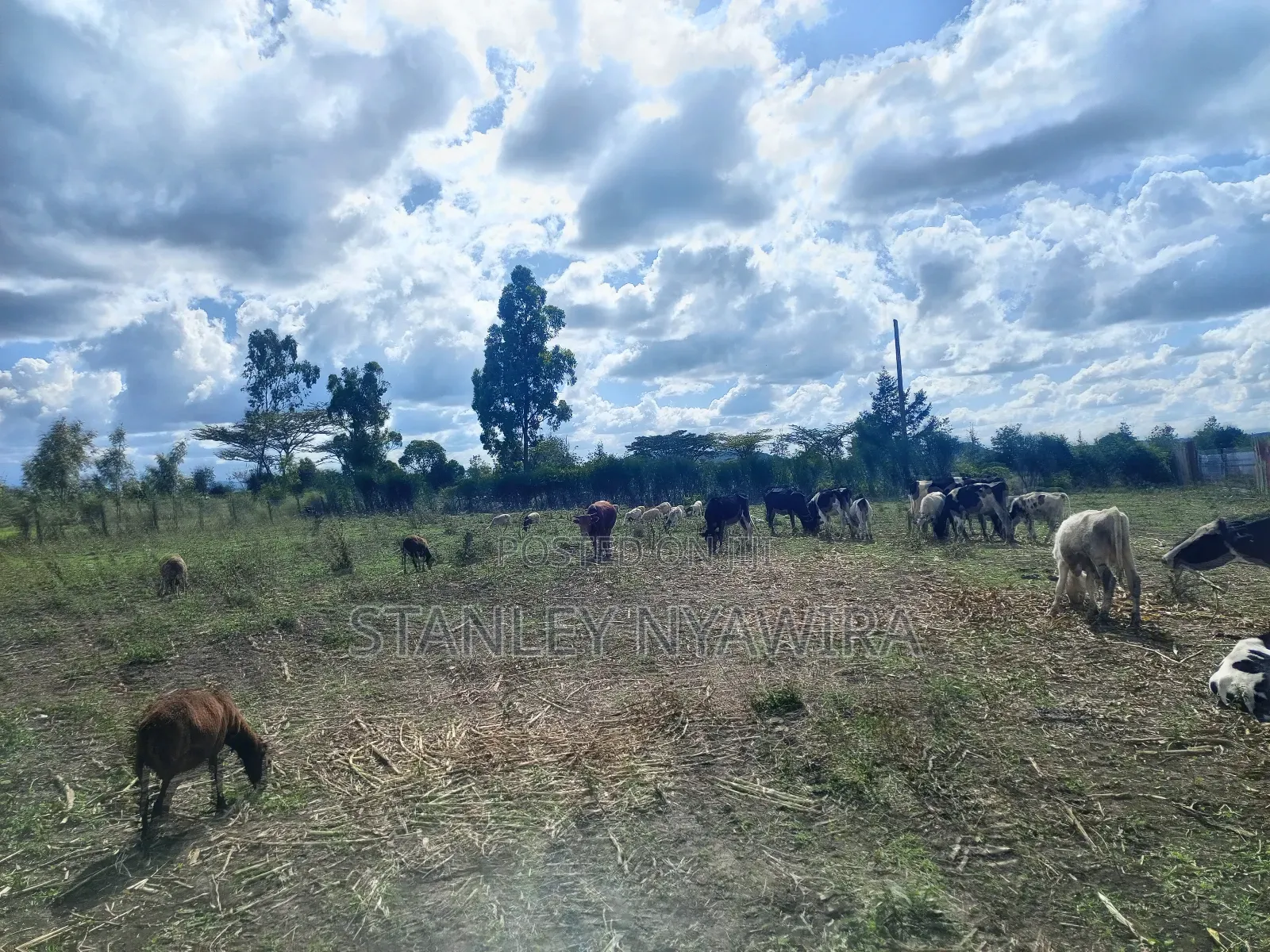 4 Acreas Nanyuki Gobit in Nanyuki