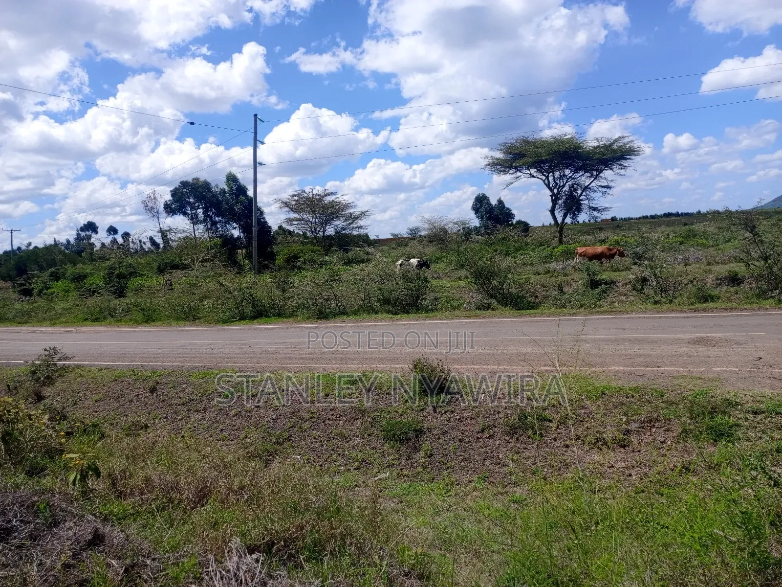 4 Acreas Nanyuki Gobit in Nanyuki