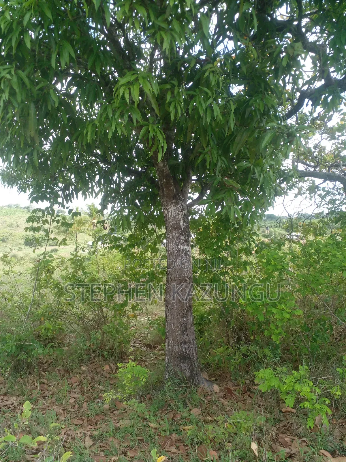 4 Acres Plot on Sale at Magodzoni, Not Far From Tiwi, in Kwale Zone. in Ukunda