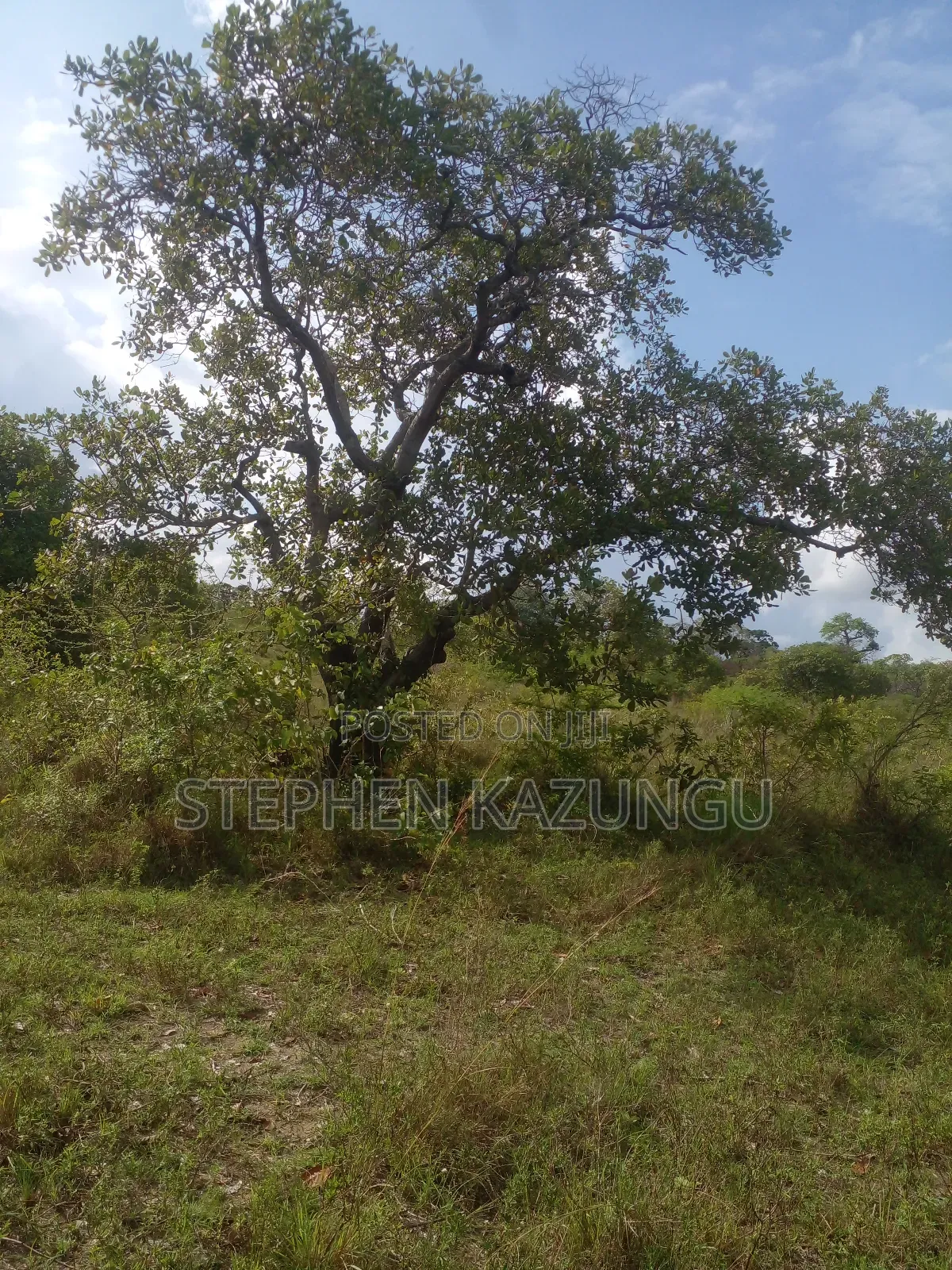 4 Acres Plot on Sale at Magodzoni, Not Far From Tiwi, in Kwale Zone. in Ukunda
