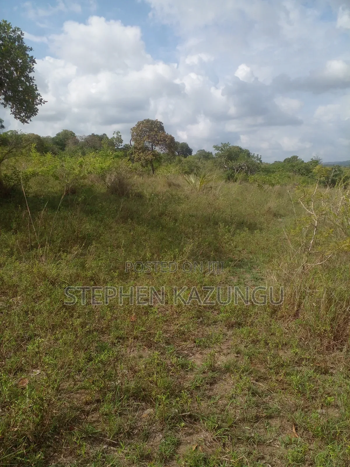 4 Acres Plot on Sale at Magodzoni, Not Far From Tiwi, in Kwale Zone. in Ukunda