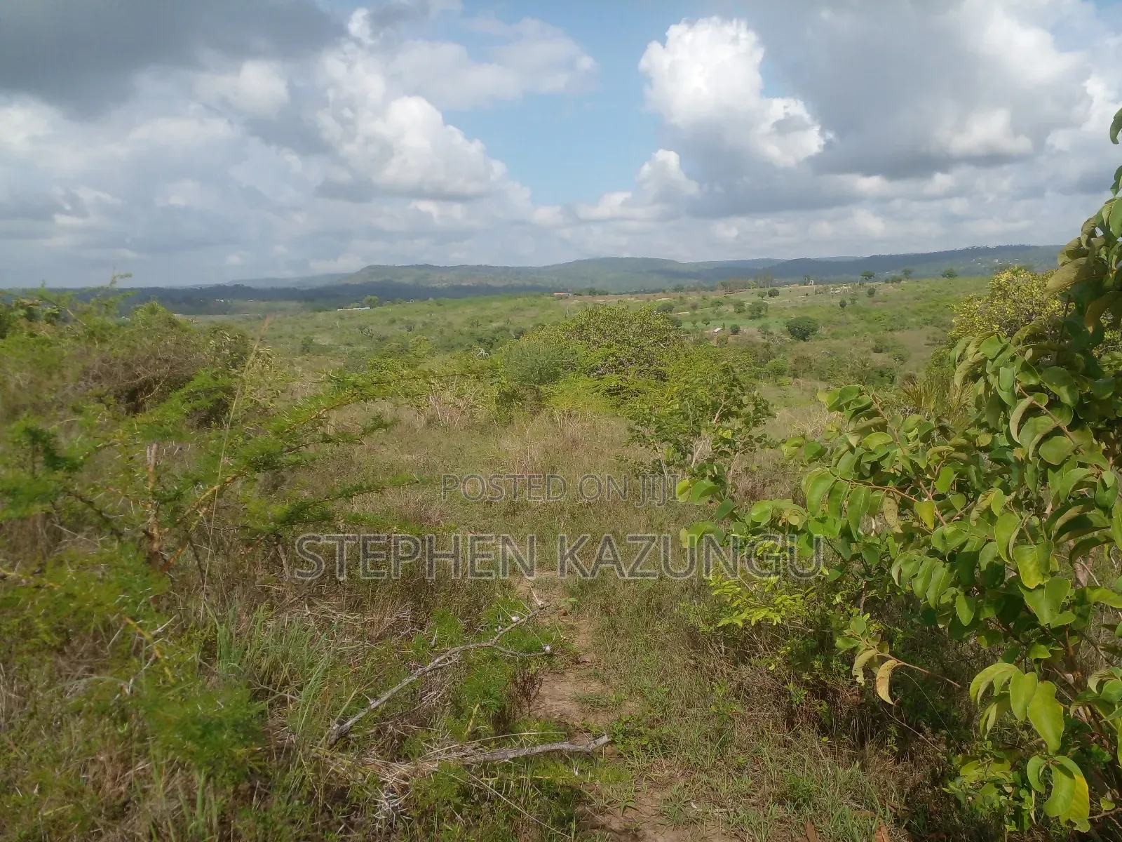 4 Acres Plot on Sale at Magodzoni, Not Far From Tiwi, in Kwale Zone. in Ukunda
