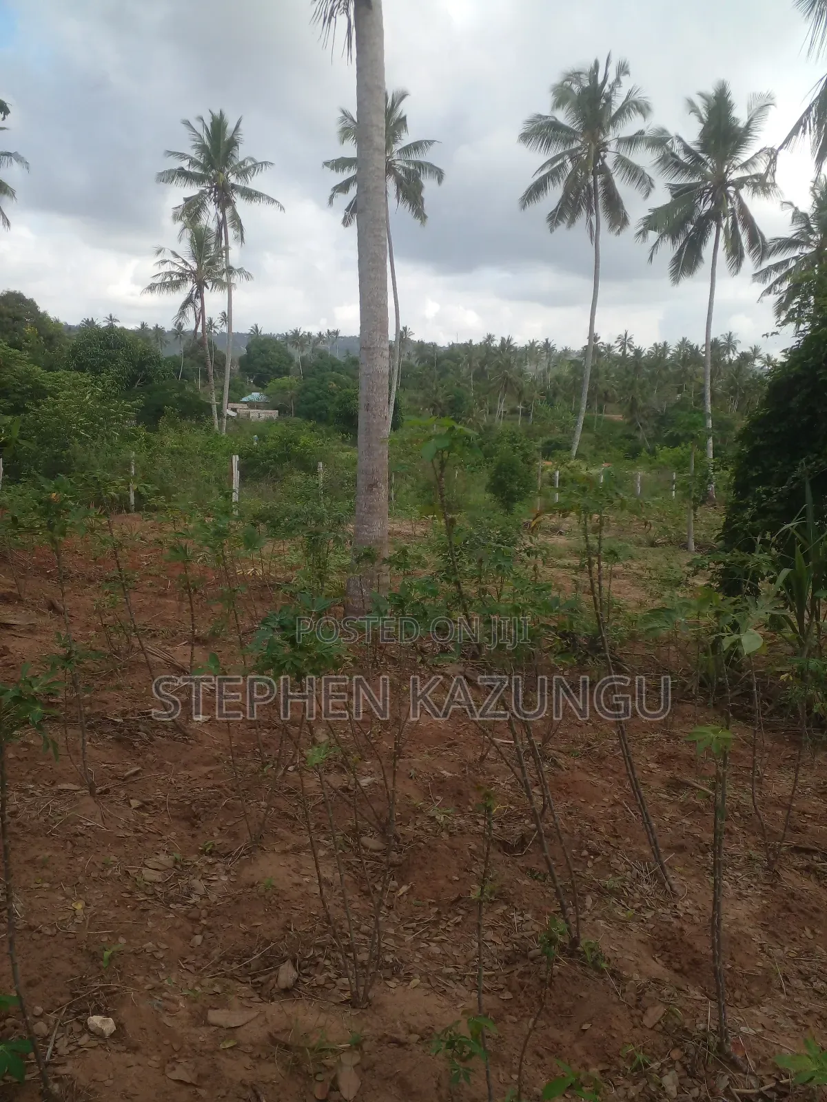 1 Acre Prime Plot, by the Road at Tsimba Town Near Kwale Town. in Ukunda