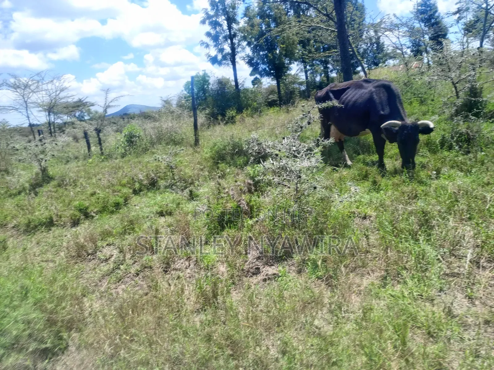 4 Acreas Nanyuki Gobit in Nanyuki