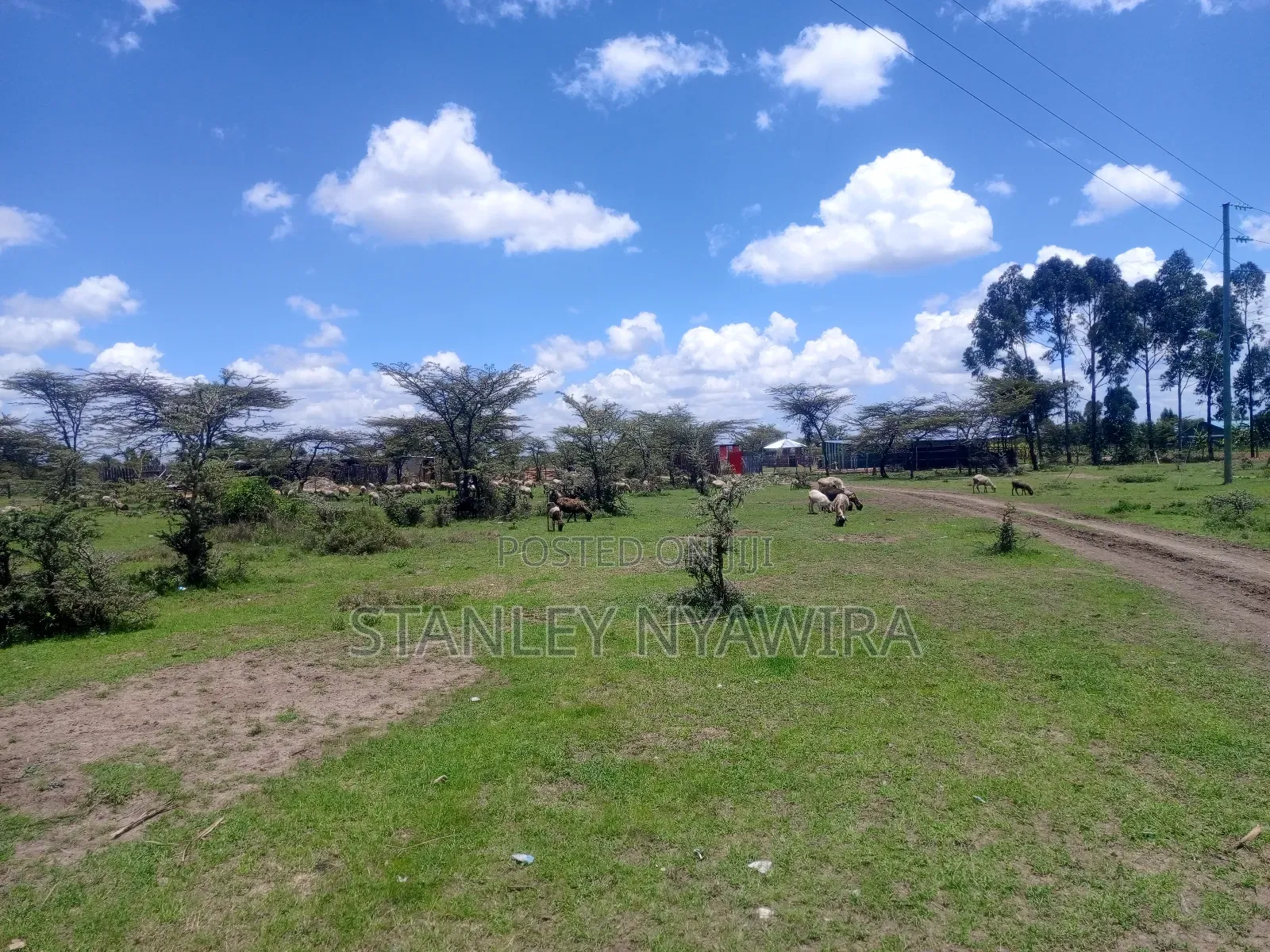 4 Acreas Nanyuki Gobit in Nanyuki