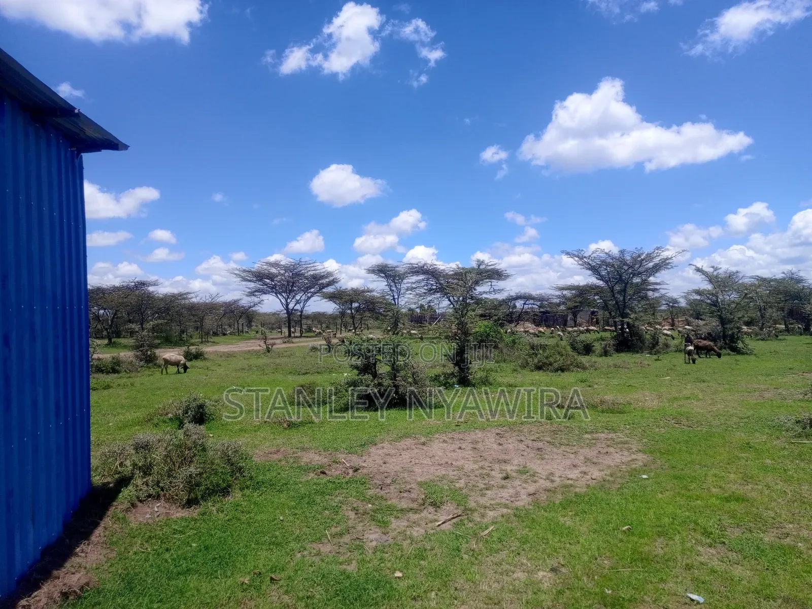 4 Acreas Nanyuki Gobit in Nanyuki