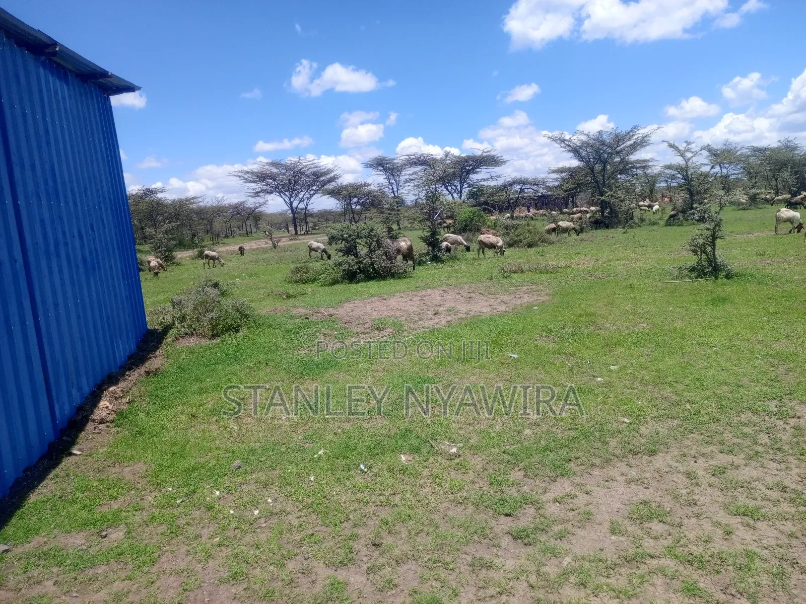4 Acreas Nanyuki Gobit in Nanyuki