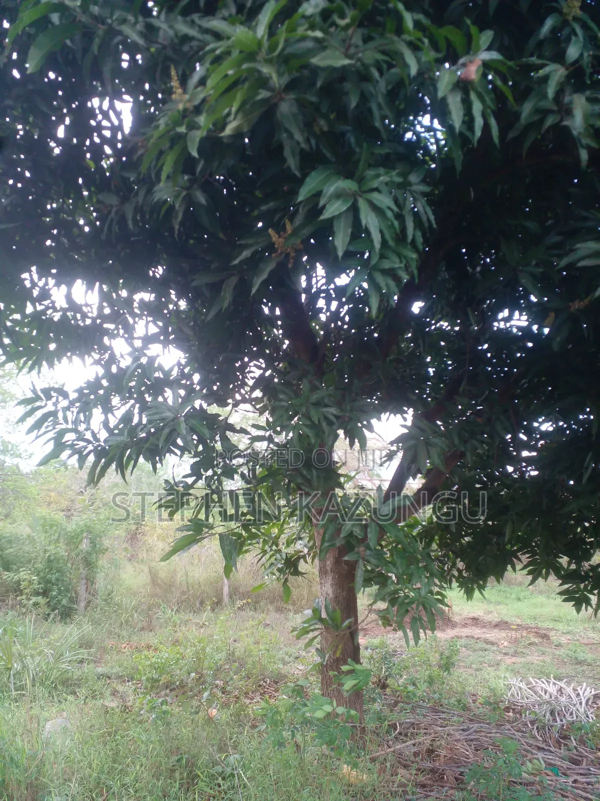 3/4 Acre Plot in Ukunda Kona Musa, in Between Babla and Mvindeni. in Ukunda