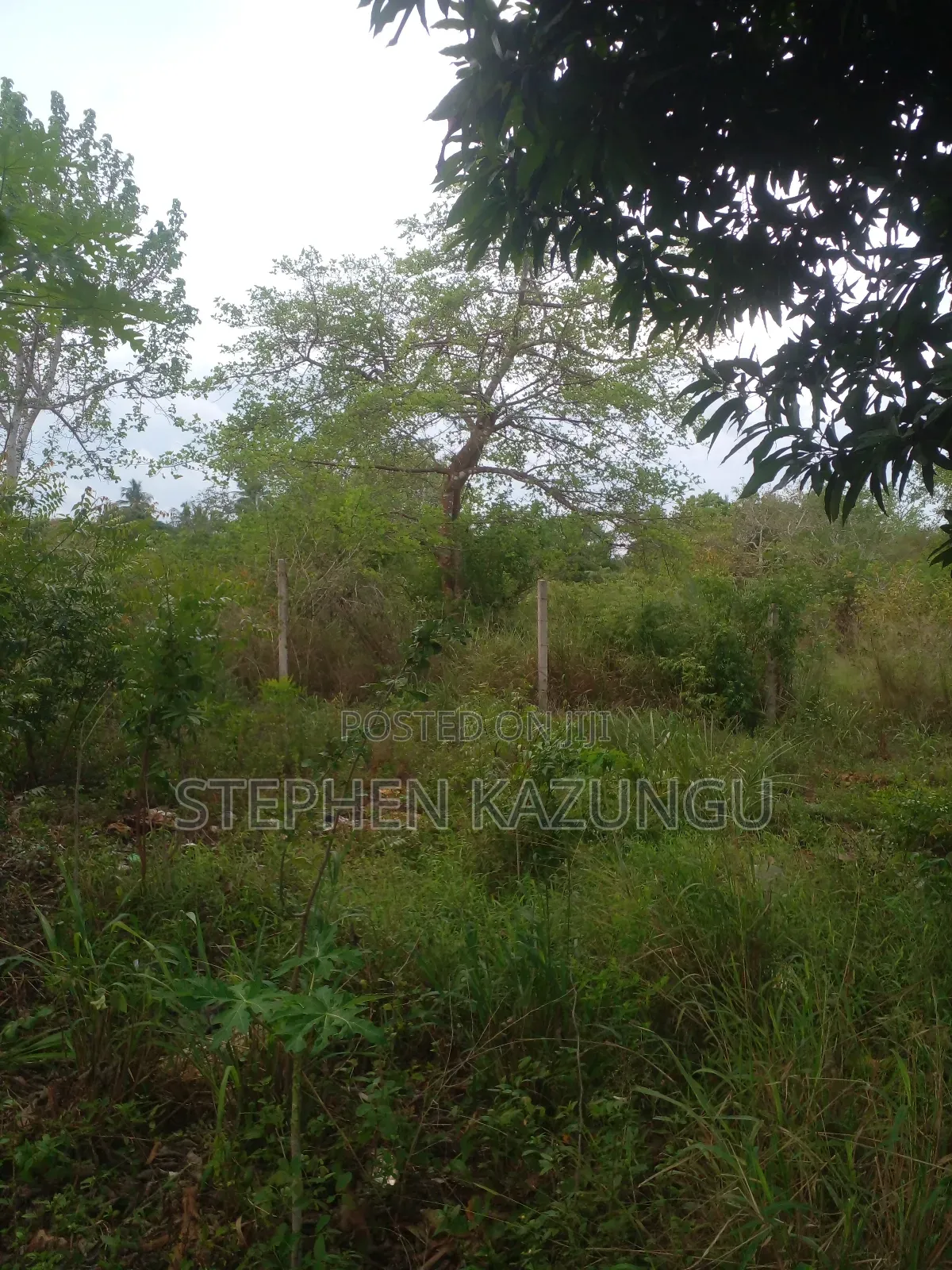 3/4 Acre Plot in Ukunda Kona Musa, in Between Babla and Mvindeni. in Ukunda
