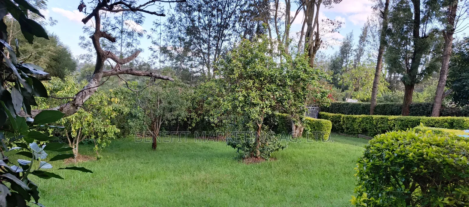 50*100 Plot for Sale in Ngong Bondeni in Ngong