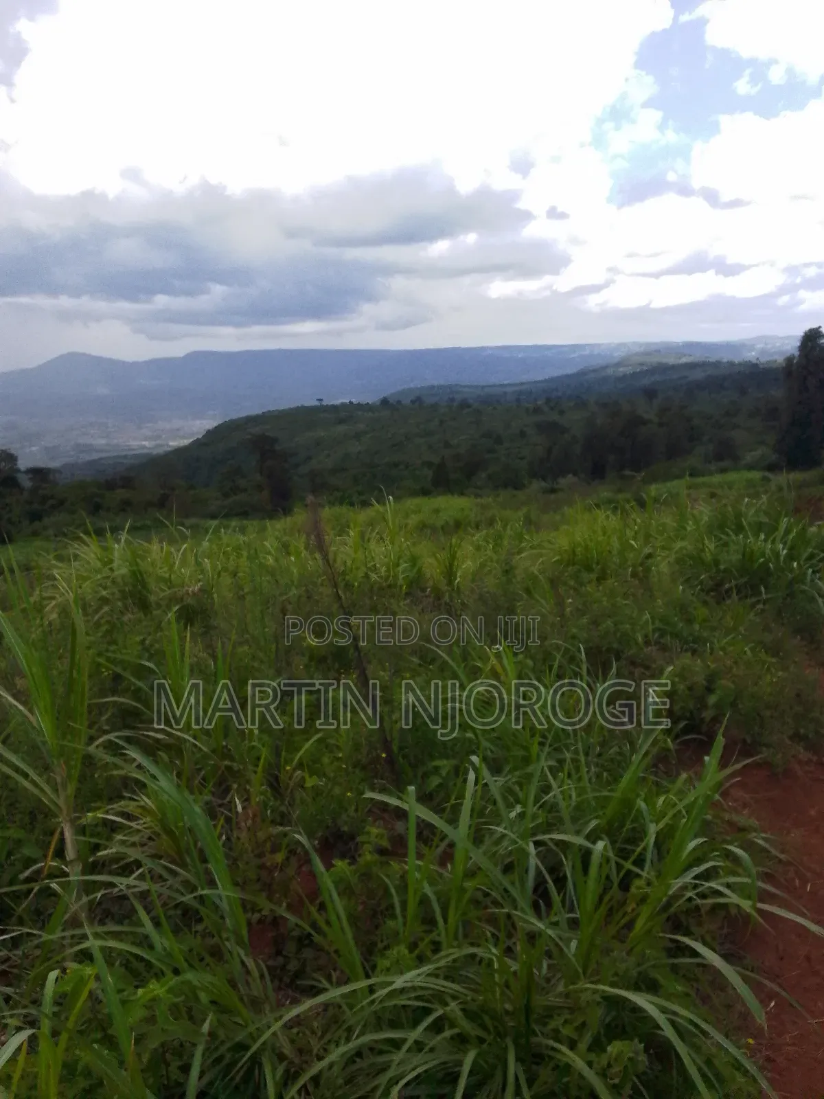 2 Acres Gitithia, Uplands in Lari/Kirenga
