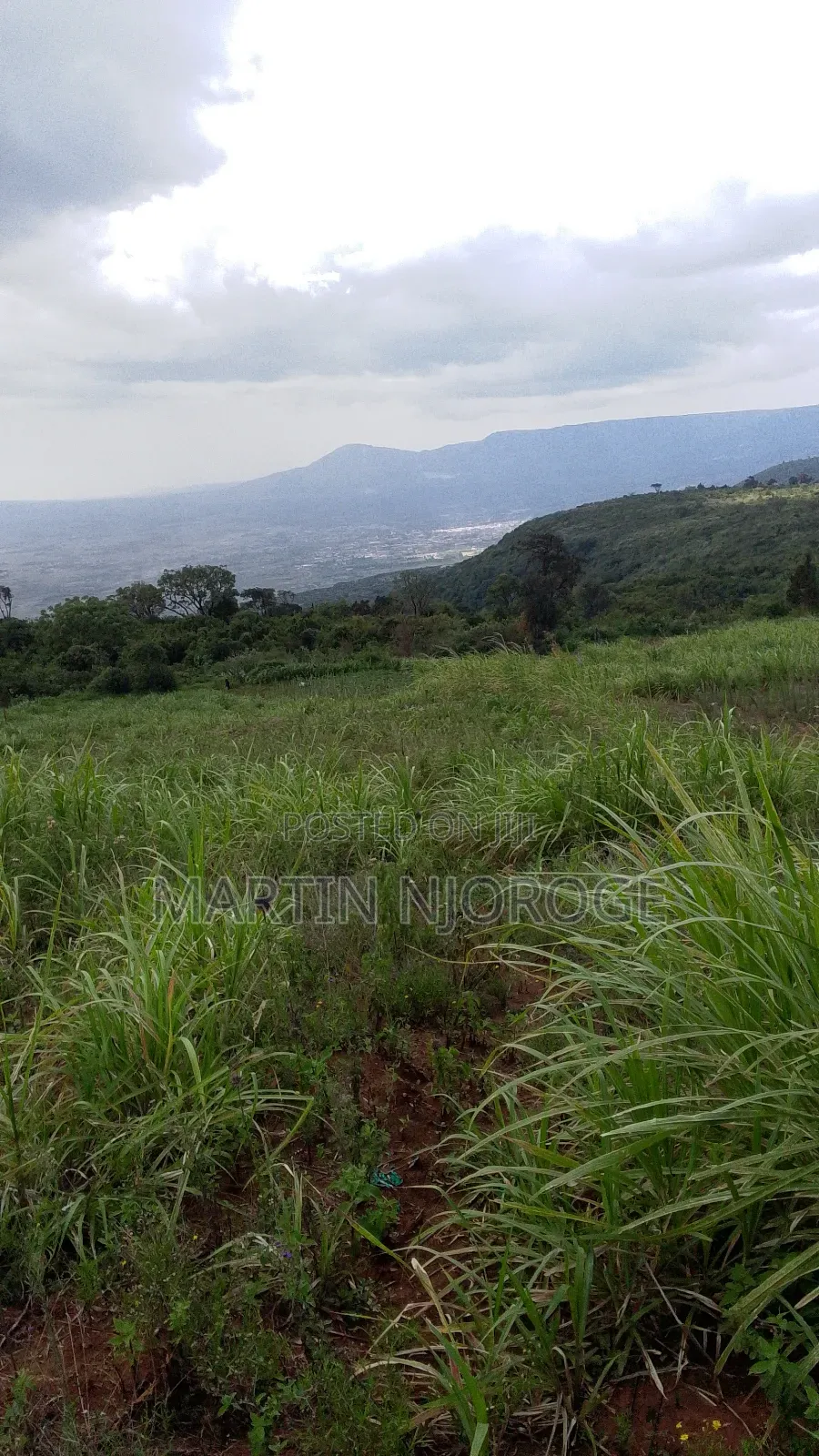 2 Acres Gitithia, Uplands in Lari/Kirenga