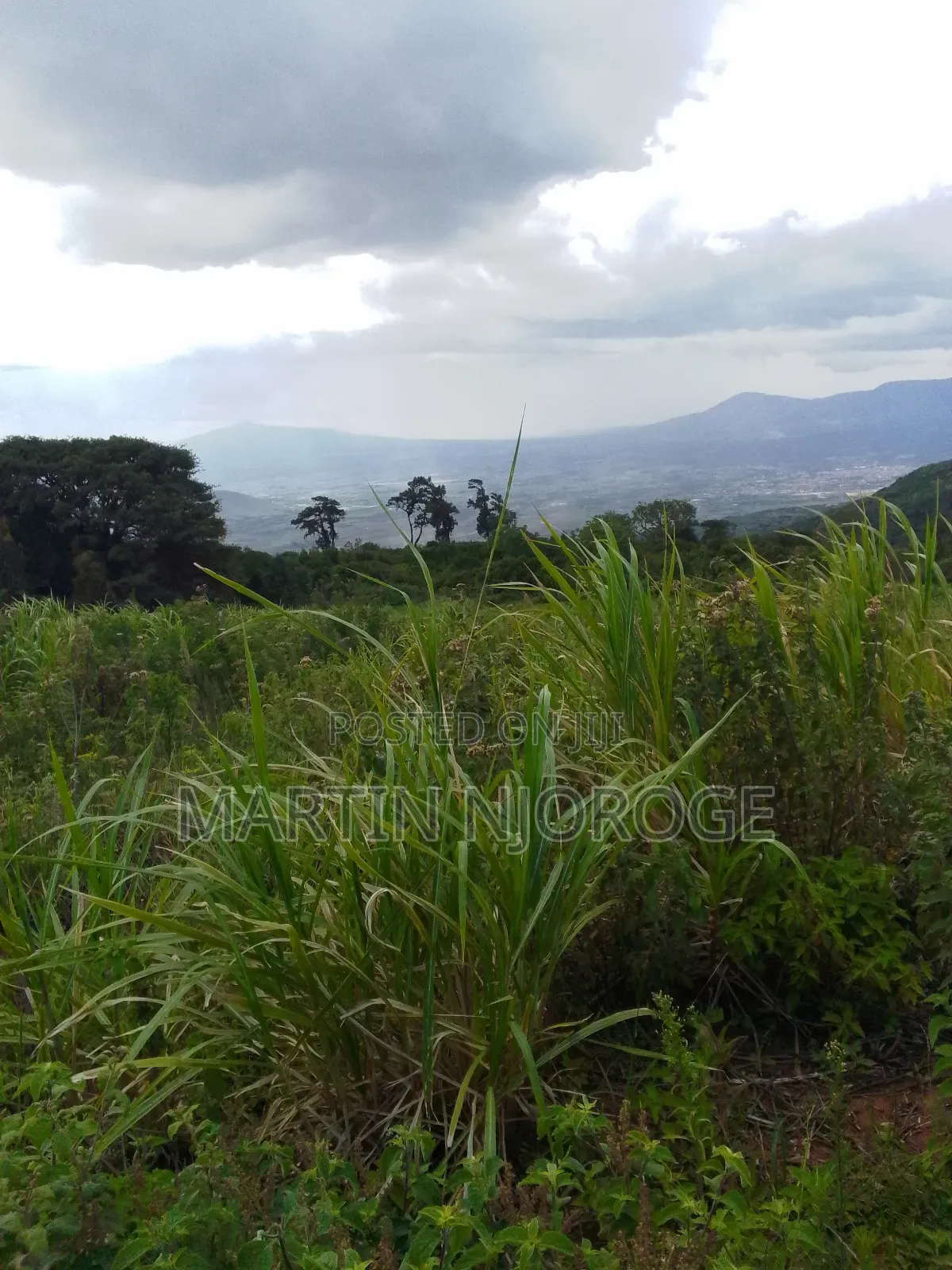 2 Acres Gitithia, Uplands in Lari/Kirenga