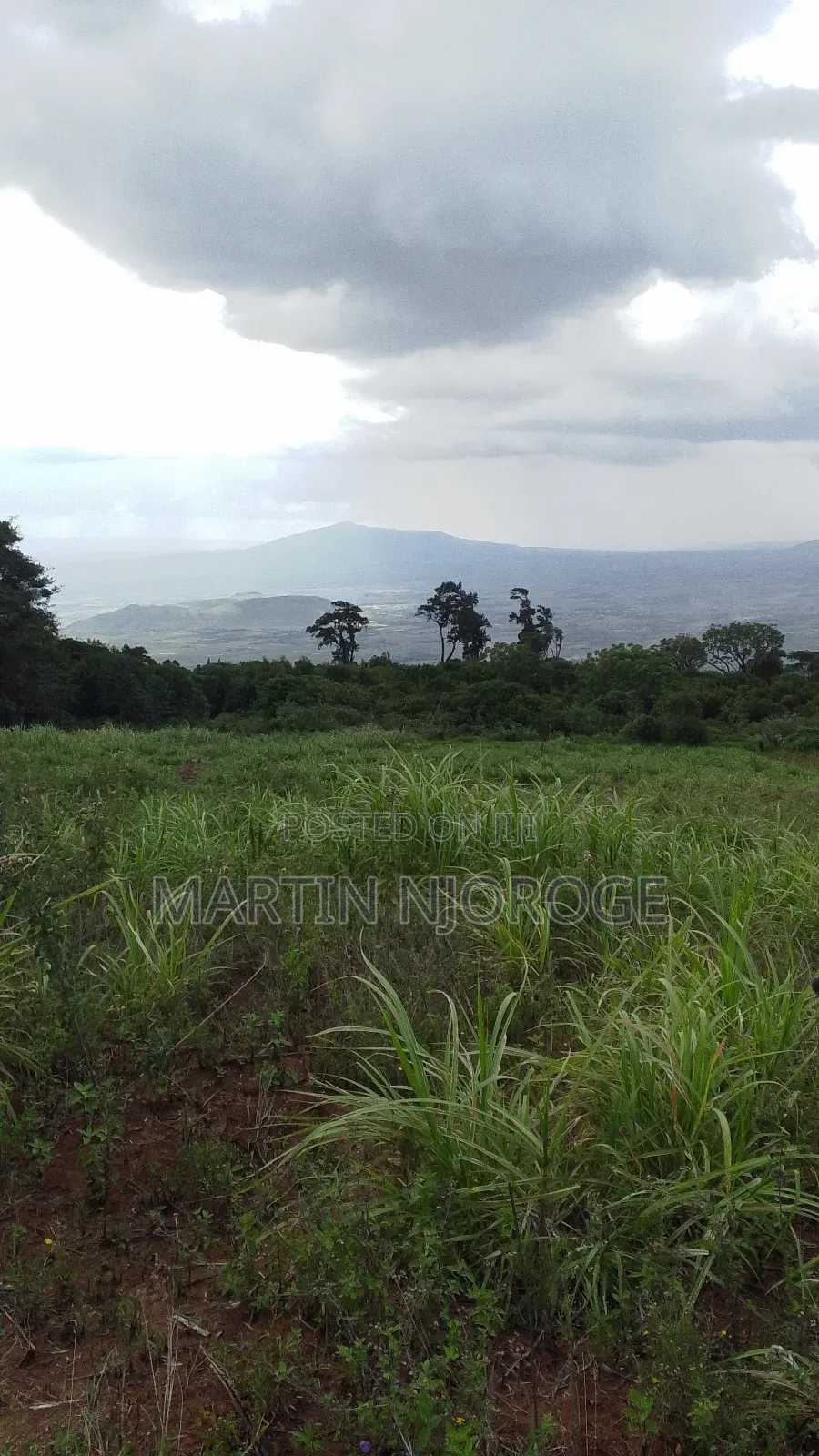 2 Acres Gitithia, Uplands in Lari/Kirenga