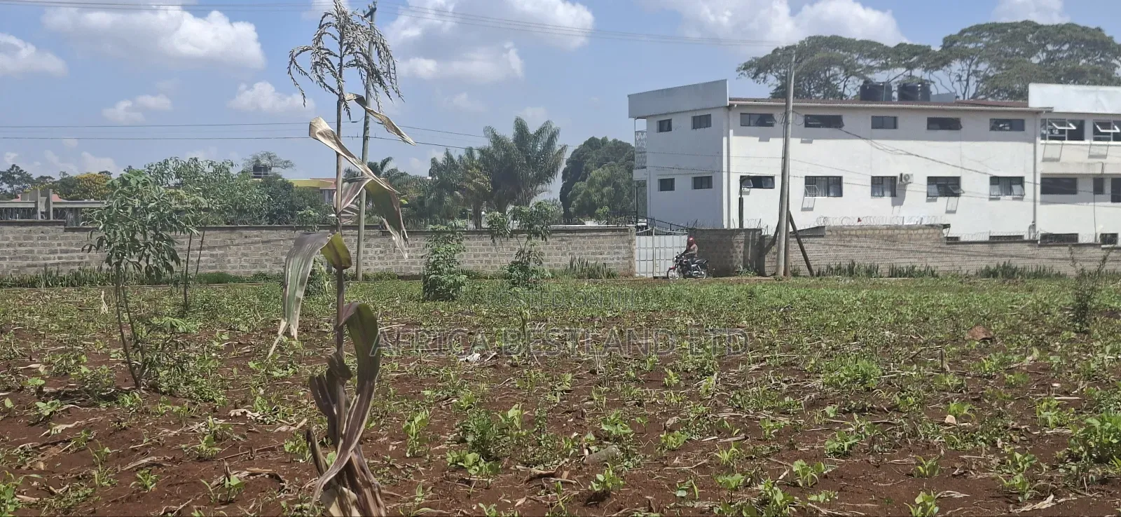 25 Acres West Kitisuru Kirawa Road in Kitisuru