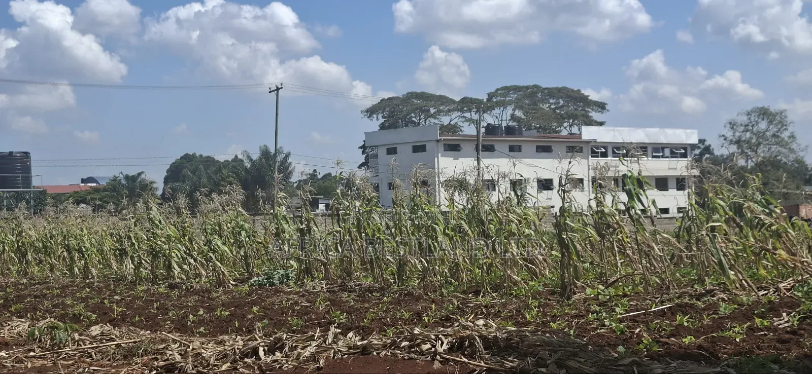 25 Acres West Kitisuru Kirawa Road in Kitisuru