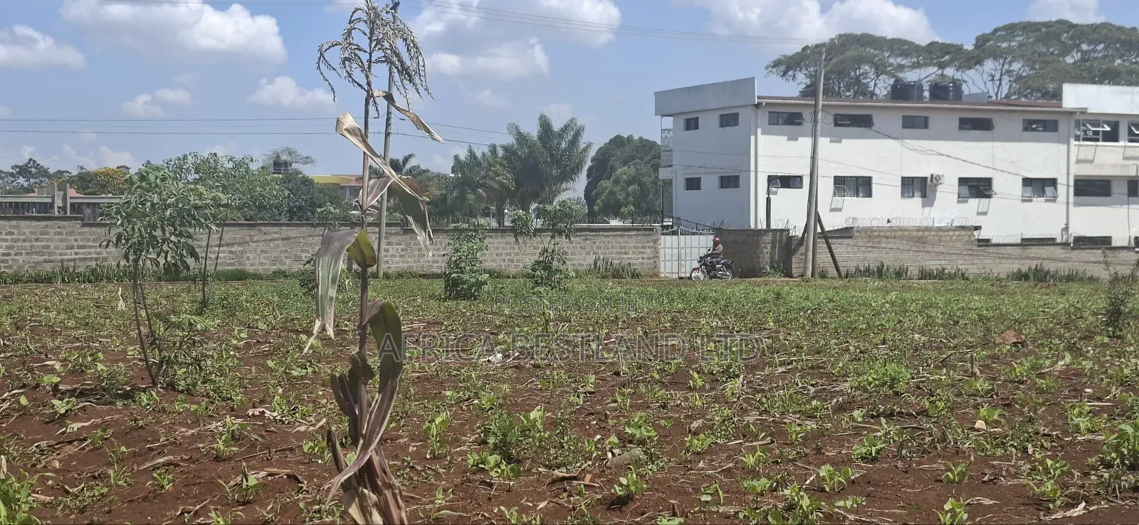 25 Acres West Kitisuru Kirawa Road in Kitisuru