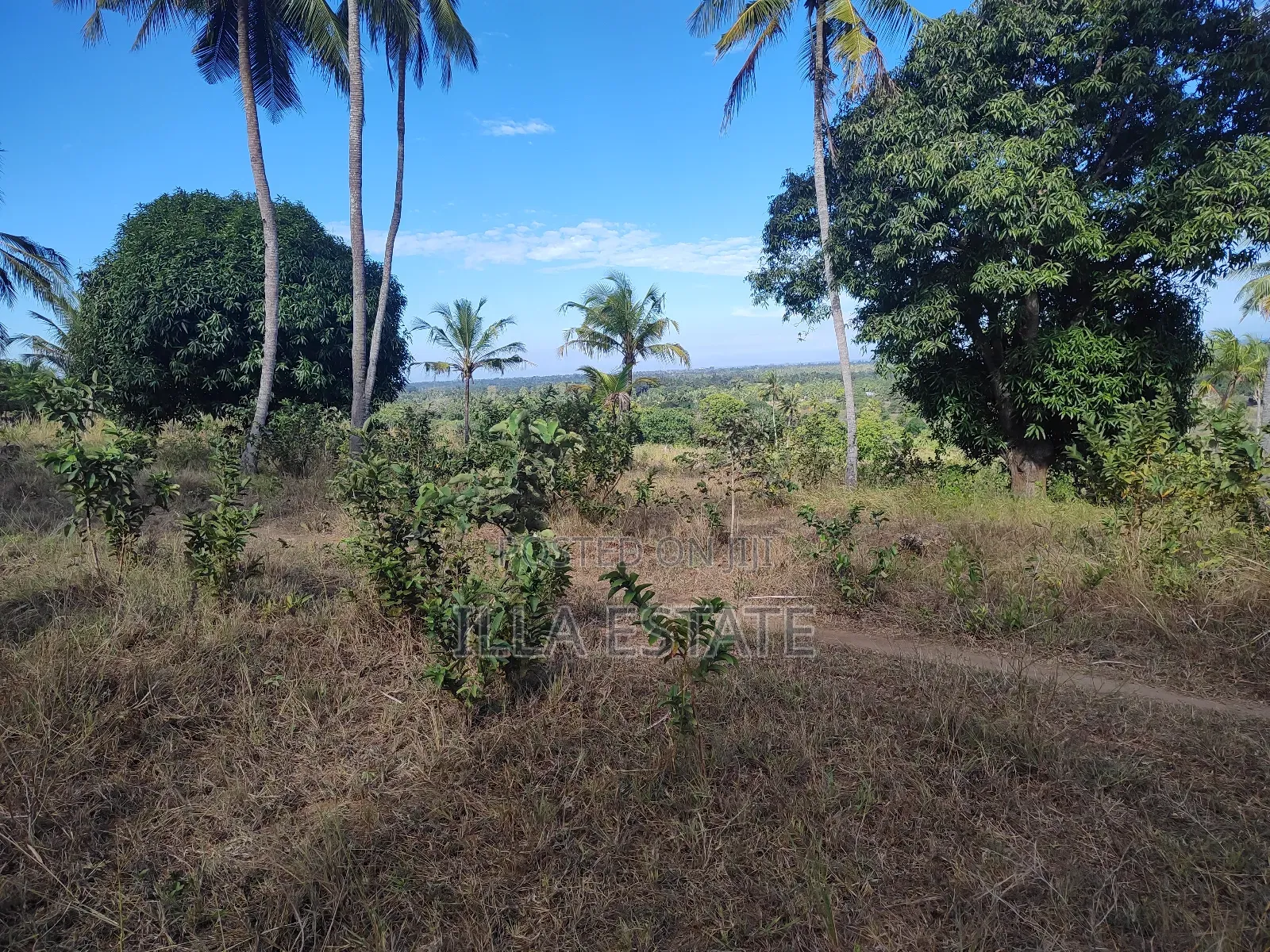 Uninterrupted Panoramic Ocean View Plot in Diani
