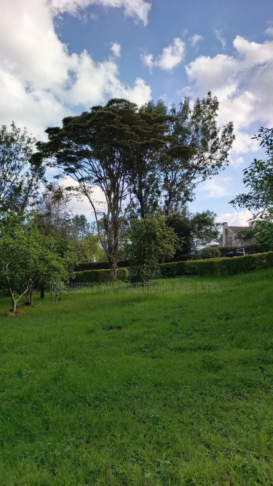 Quarter Acre Plot for Sale in Ngong Maasai Road in Ngong