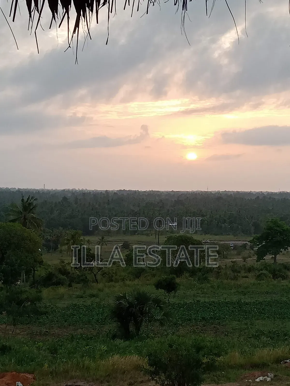 Uninterrupted Panoramic Ocean View Plot in Diani