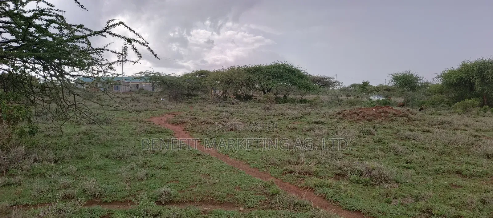Eigth Acre Plot for Sale in Ngong Kimuka Oloshoibor in Ngong