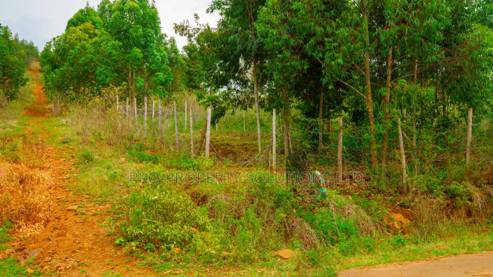 Residential Serviced Plots for Sale in Kikuyu, Nguirubi - Thigio in Kikuyu