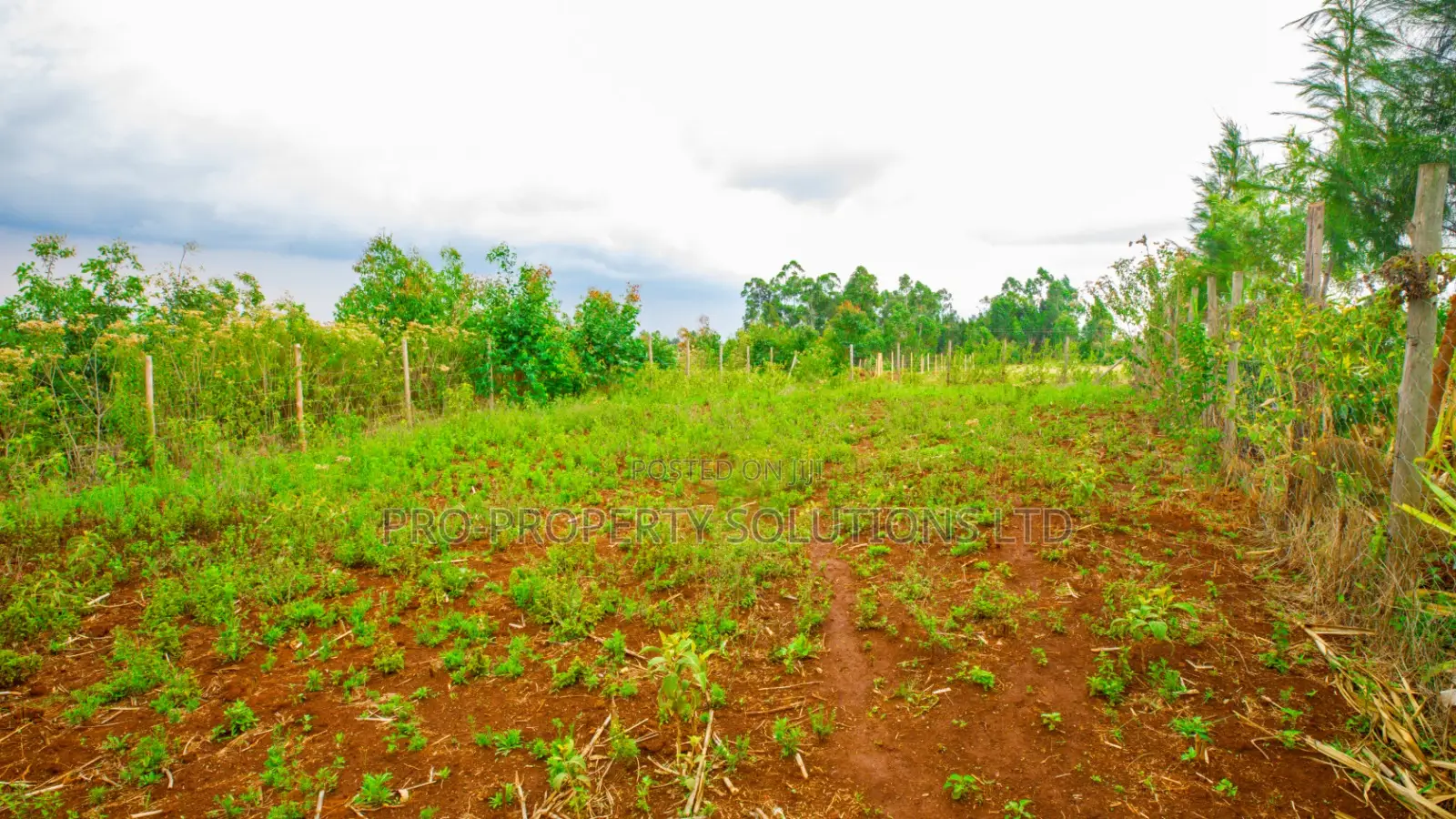 Prime Residential Plot for Sale in Kikuyu, Thigio. in Kikuyu