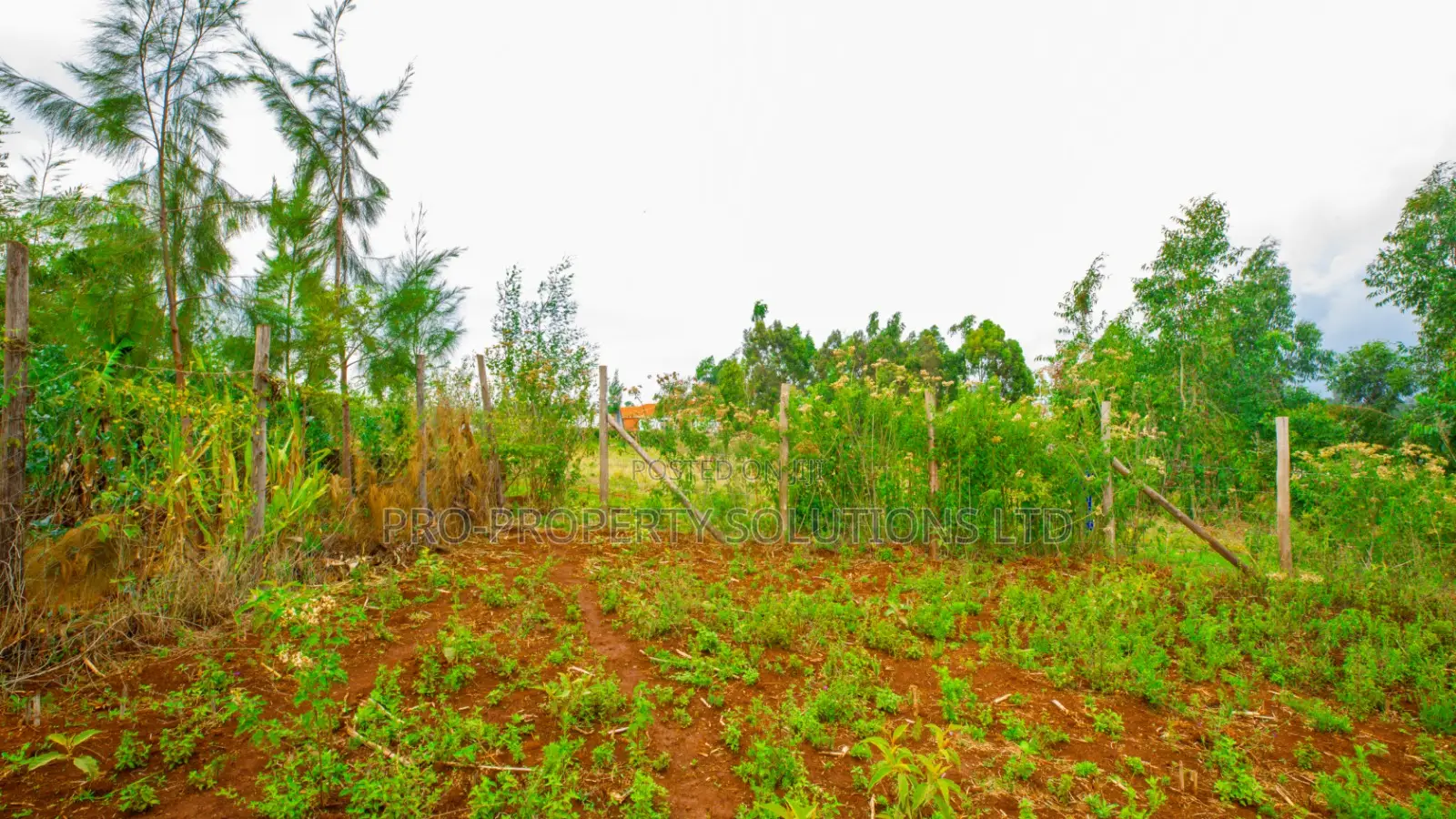 Prime Residential Plot for Sale in Kikuyu, Thigio. in Kikuyu