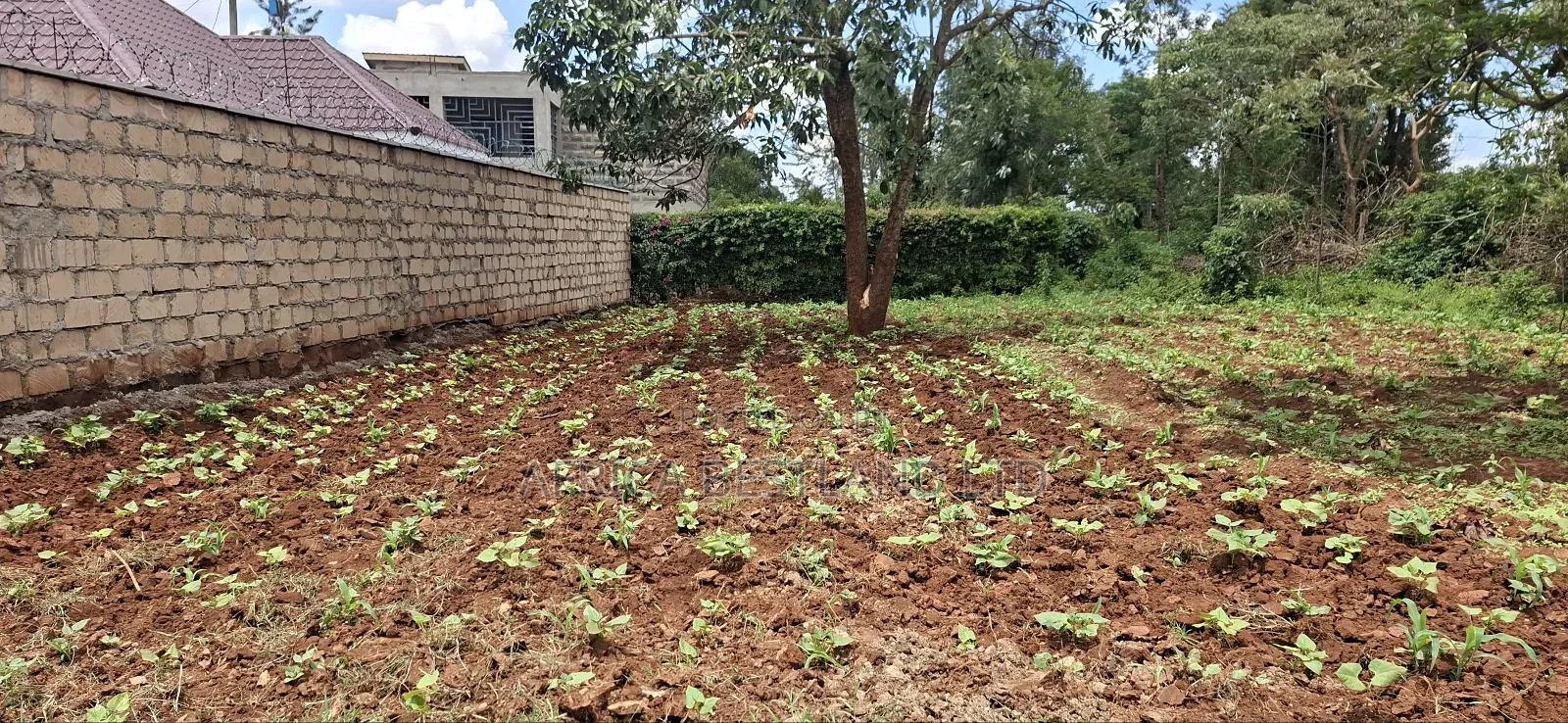 100x100 Available Residential Plot for Sale in Rose Gate in Karai
