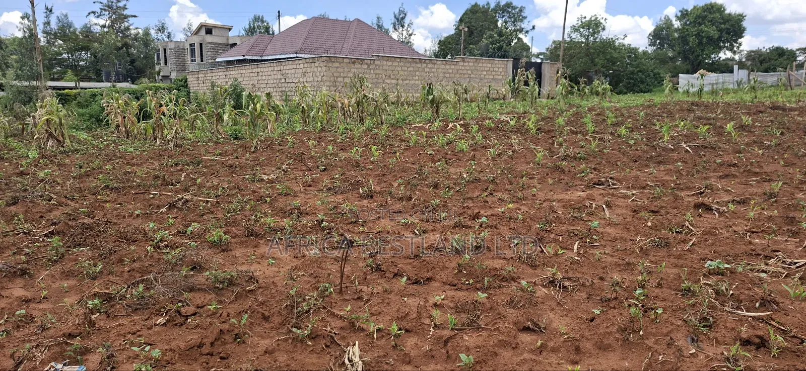 100x100 Available Residential Plot for Sale in Rose Gate in Karai