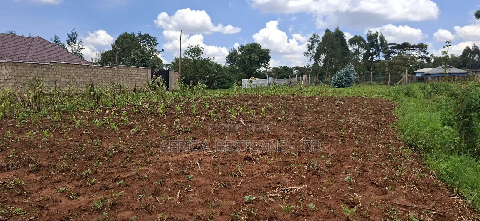 100x100 Available Residential Plot for Sale in Rose Gate in Karai