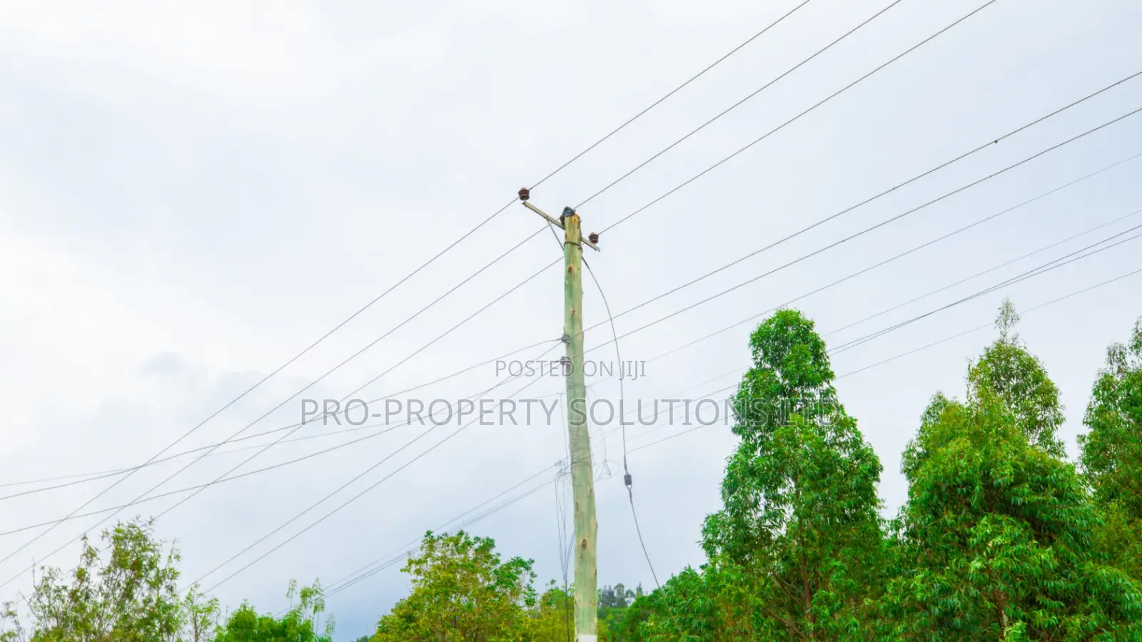 Residential Serviced Plots for Sale in Kikuyu, Nguirubi - Thigio in Kikuyu