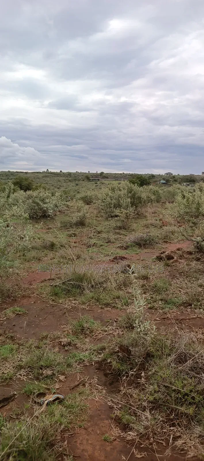 1⁄8 Acre Plot for Sale in Ngong Kimuka Maroroi in Ngong