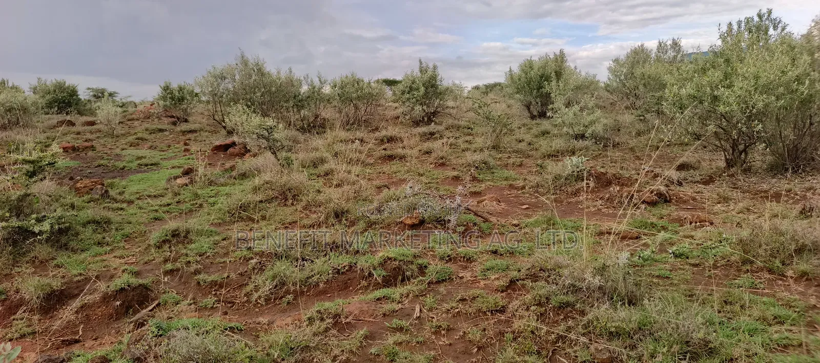 1⁄8 Acre Plot for Sale in Ngong Kimuka Maroroi in Ngong