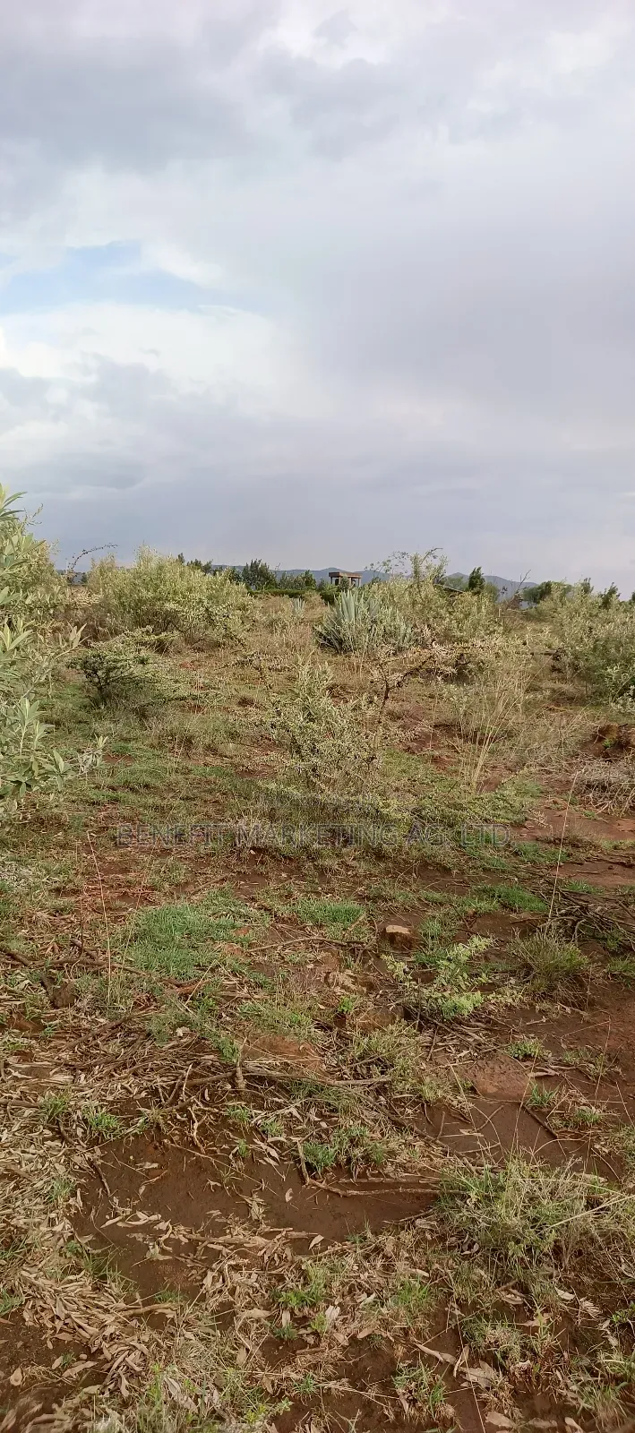 1⁄8 Acre Plot for Sale in Ngong Kimuka Maroroi in Ngong