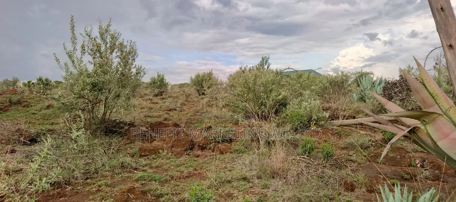 1⁄8 Acre Plot for Sale in Ngong Kimuka Maroroi in Ngong