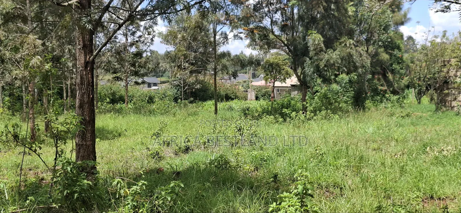 3 Quarters Land for Sale in Kikuyu Lusigetti in Karai