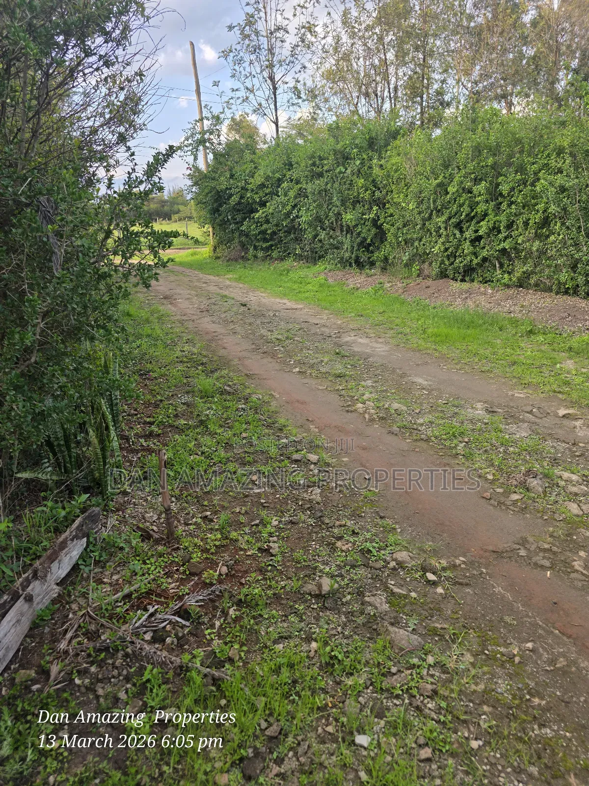 1/4 Acre for Sale Fully Fenced and Trees Planted Ideal for Residential in Oluulua